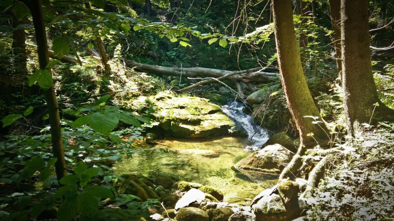 Drewniana Roza Willa Karkonosze Piechowice  Dış mekan fotoğraf